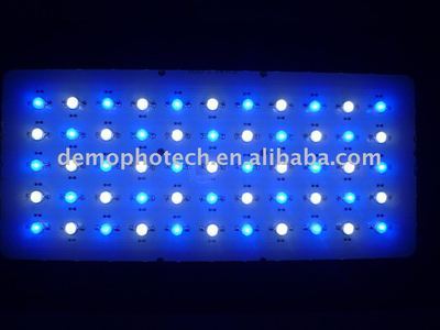 2プラグ2スイッチDimmable 120W LED礁の照明---専门の制造业者!-その他照明器具-制品ID:371662689-japanese.alibaba.com